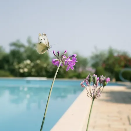 Casa Marie Leonie Tatil Evi *
