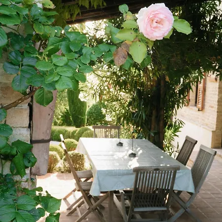 度假居 Casa Marie Leonie Mondavio